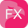 FX Tray