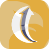 Global Capital Market 