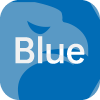 Blue Dragon Partners LTD