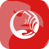 First Capital Market