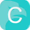 CAPITALFX