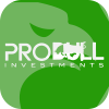 Probull Investments