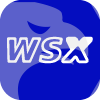 WSX
