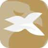 Xtbroker