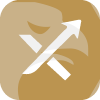 Xcel Fx 
