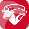 Capital Trade Fx