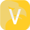 Vision Forex