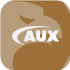 AuxCapital