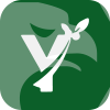 YEWTrading