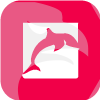 dolfinindex