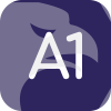  A1Capitals
