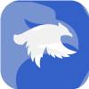 Vectra Forex