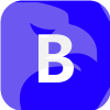 Bullet Global