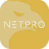 NETPRO TRADING