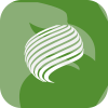 Rcg Forex Service Corporation