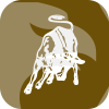 247 Bullish Exchange
