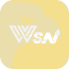 WSN