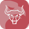 Big Bull Fx