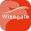 WISEGATE CAPITALS