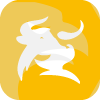 CBXI Market Limited