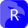ROCHIS CAPITAL