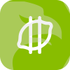 LIMEFX