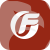 FUHUI FX 