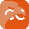 Celer Coin