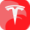 Tesla Stock