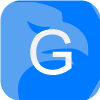 Greenfield Investment