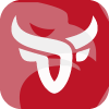 Bull X