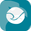 DynamicGlobalTrade
