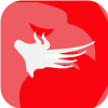 Capital Forex Prime