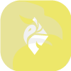 Yellow Peacock