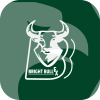 Bright Bull Fx