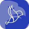 STERNFX