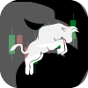 BULLS BROKERS