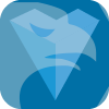 VEGA Capital