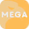 Mega Trade Firm