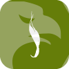 Nicholson Financial Service