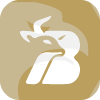Binainvest
