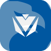 Capitalfxmarket