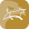 KIWIBULL