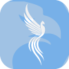 IGPHOENIX