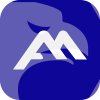 Assexmarkets