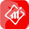 Net Global Markets