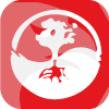 TIME WEALTH INTERNATIONAL