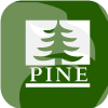 Pine