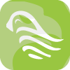 MinZhongFuTURES