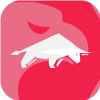 QCapitalForex